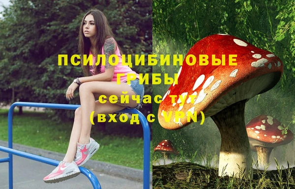 СК Верея