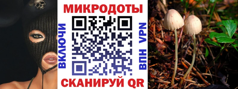 Купить где  Анапа  Галлюциногенные грибы Psilocybe 